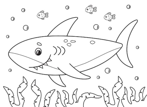 Акула раскраска для детей 4-5 лет