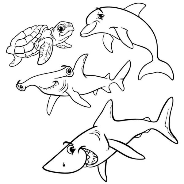 Акула раскраска