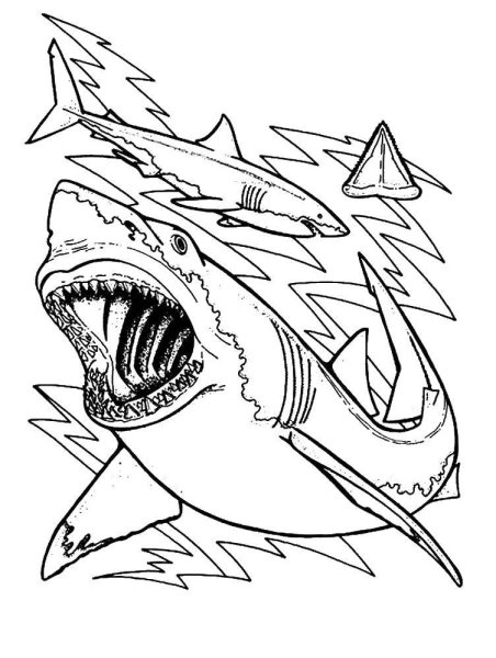 Раскраска акула МЕГАЛОДОН