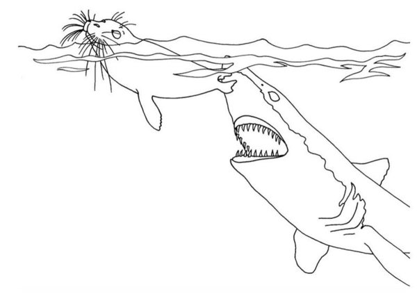 Раскраска человек акула