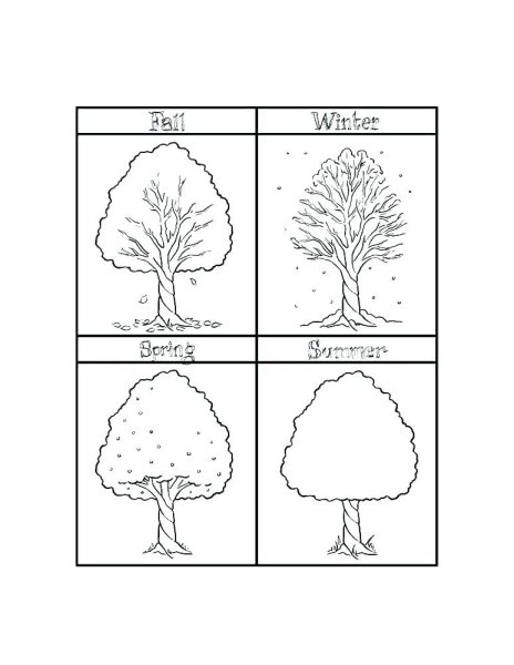 Раскрасить деревья по временам года