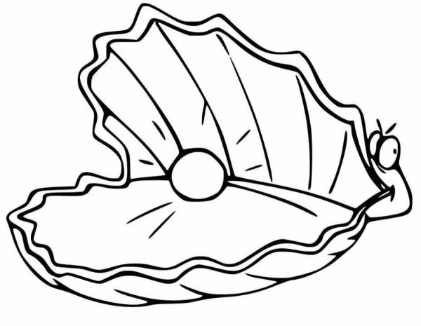 Раскраски ракушки морские