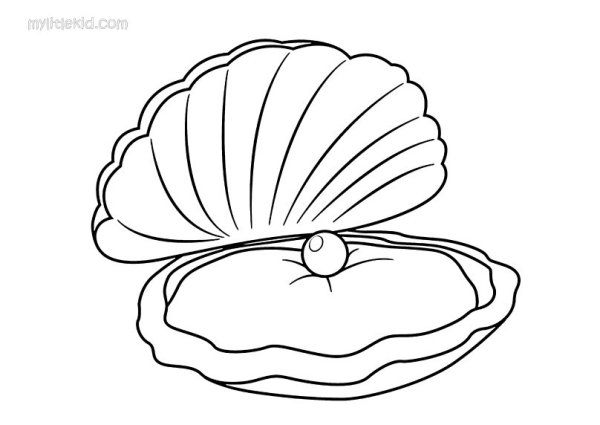 Раскраска Ракушка с жемчужиной
