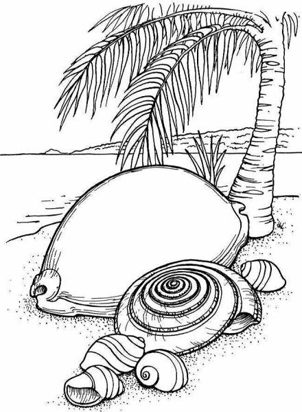 Разукрашка море и ракушки