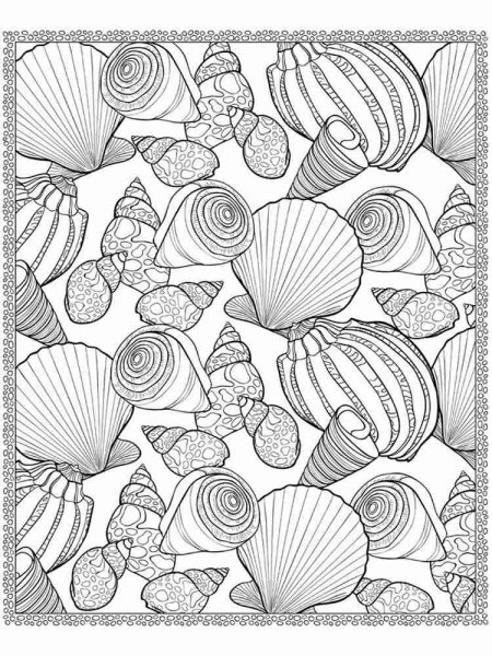 Раскраски ракушки морские