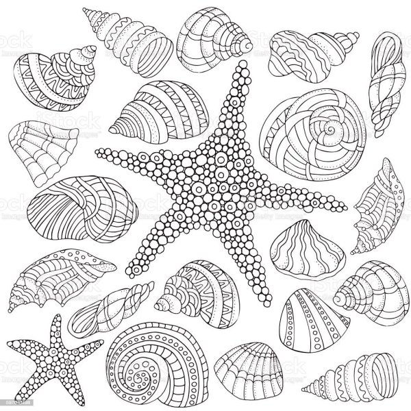 Морские узоры ракушки