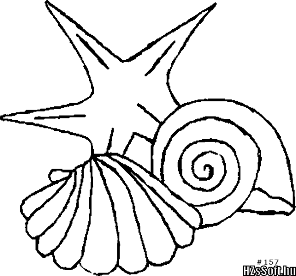 Раскраски ракушки морские