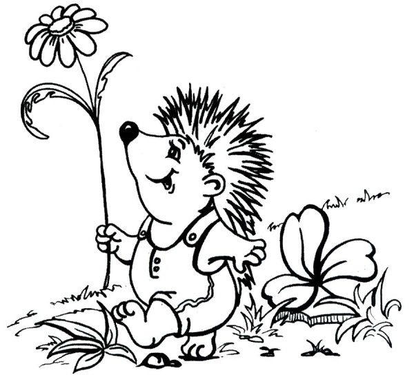 Сказочный Ежик раскраска