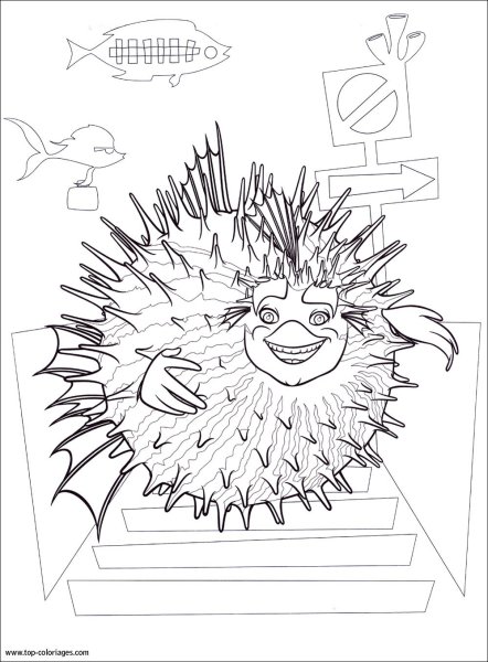 Морской еж раскраска