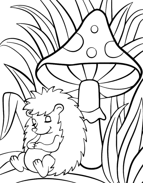 Раскраска Ежик и рибок