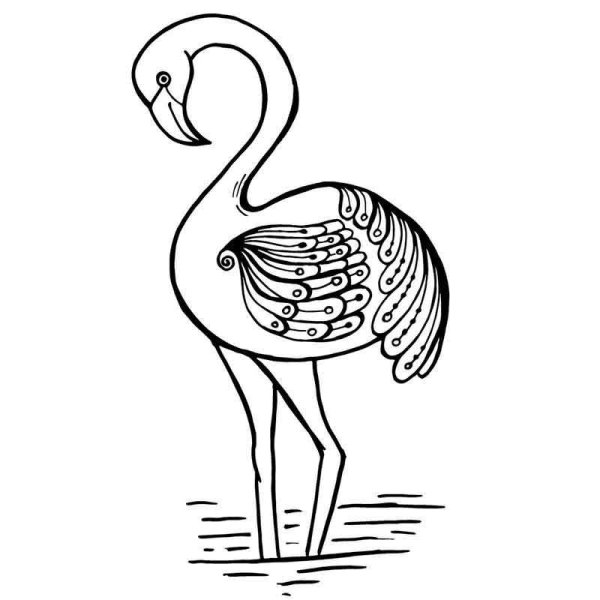 Раскраска Фламинго сложная