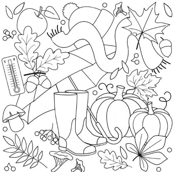 Красивые осенние раскраски для детей