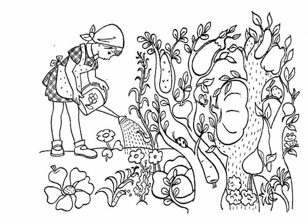 Раскраска. В огороде