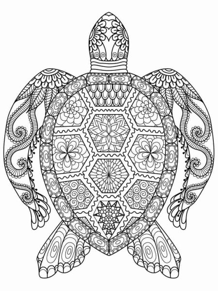 Мандала черепаха раскраска