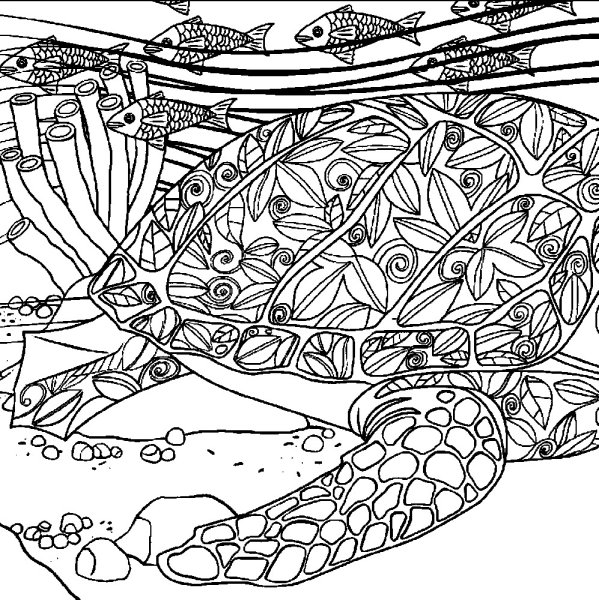 Раскраска антистресс черепаха