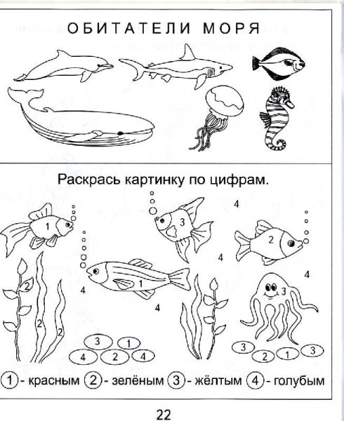 Морские обитатели задания для дошкольников
