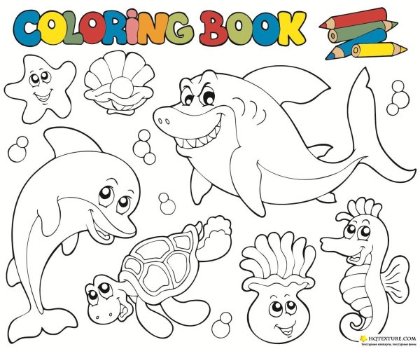 Раскраски пиратские морские обитатели для детей