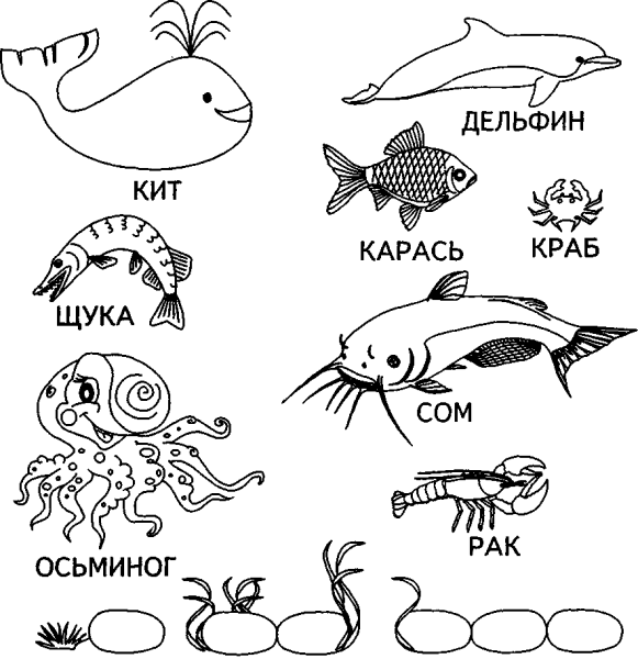 Задания по теме рыбы