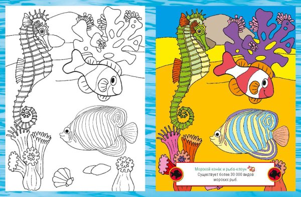 Раскраска морские обитатели