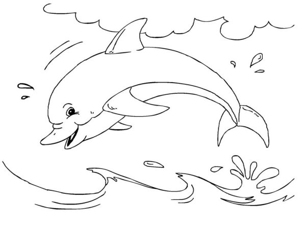 Беломордый Дельфин раскраска