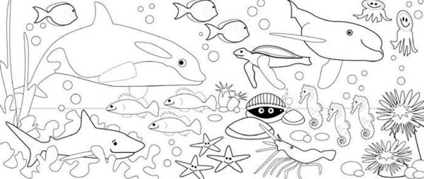 Раскраски обитатели морей и океанов для детей