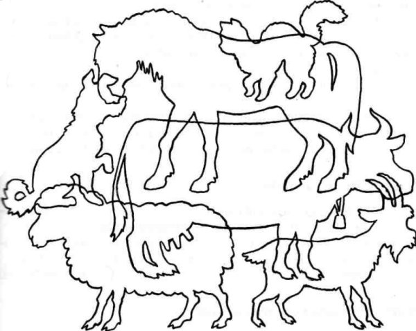 Домашние животные задания для дошкольников