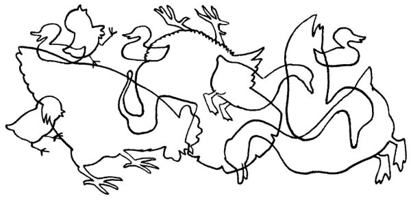 Контур животных и птиц