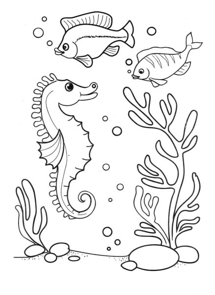 Раскраска морские обитатели