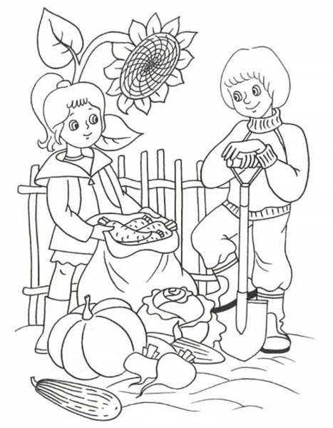 Раскраска. В огороде