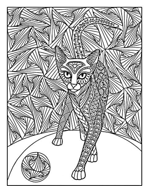 Зендудл Кототерапия