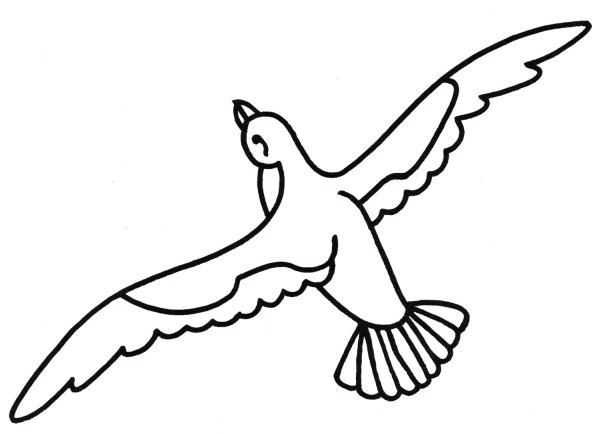 Чайки раскраска для детей