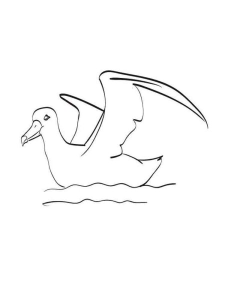 Альбатрос трафарет