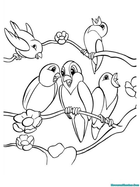 Птицы раскраска для детей