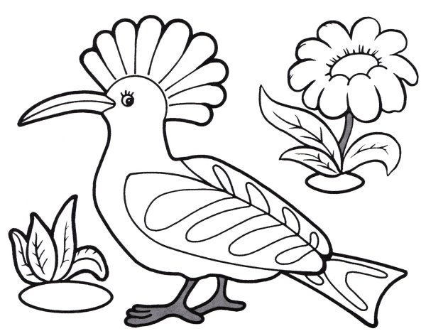 Птицы. Раскраска