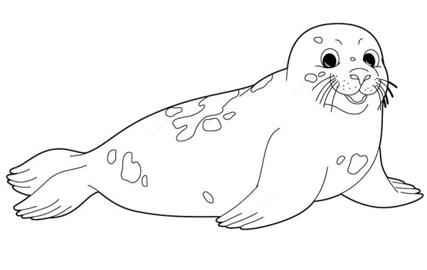 Тюлень раскраска для детей