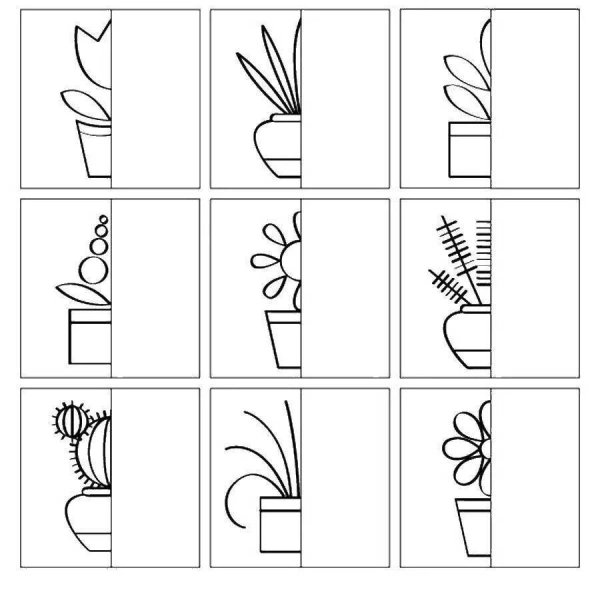 Комнатные растения задания для дошкольников