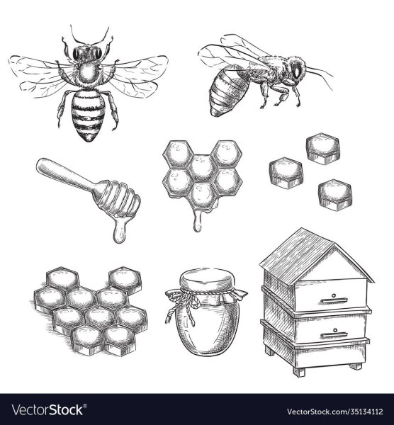 Улей картинка для детей