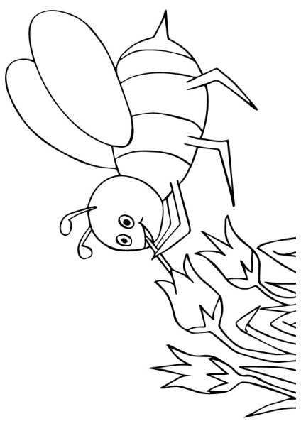 Раскраска Пчеловодство