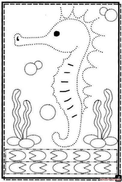 Обводилки морские обитатели