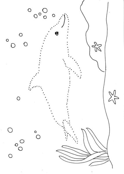 Морские животные по точкам