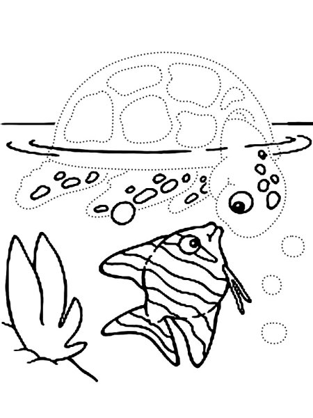 Рисование по точкам морские обитатели