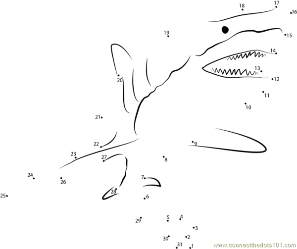 Рисование по цифрам морские обитатели