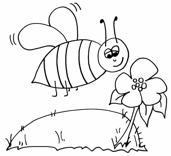 Раскраска пчела для детей 5-6 лет