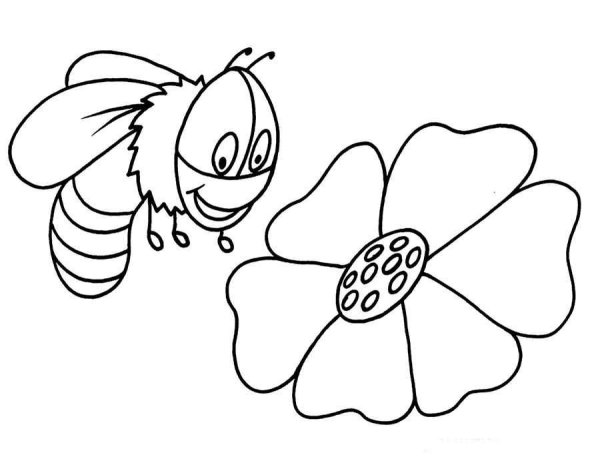 Пчела раскраска