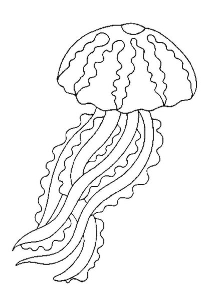Медуза раскраска