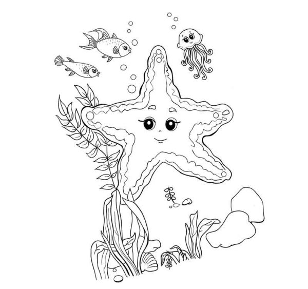 Морская звезда раскраска