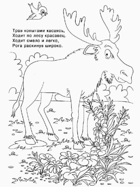 Загадки раскраски про животных