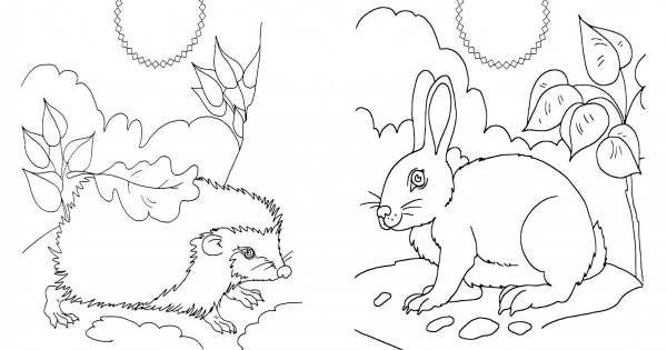 Загадки с иллюстрациями