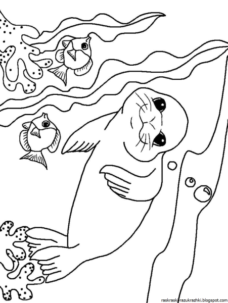 Морские обитатели раскраски для детей