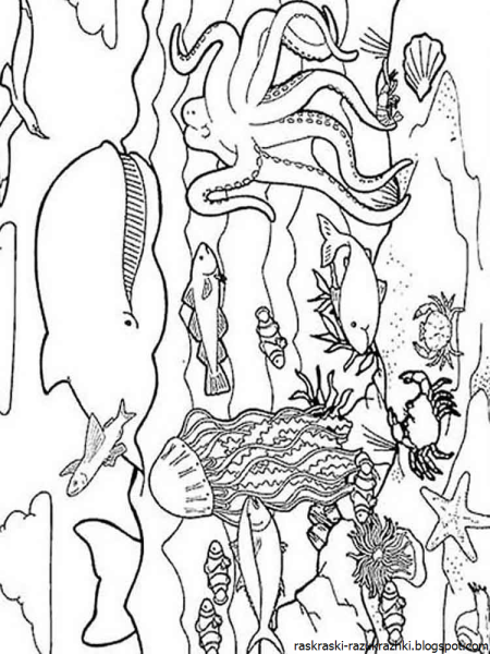 Морской мир раскраска для детей